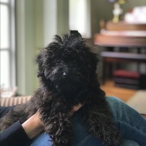 Meet your Posher, Claire